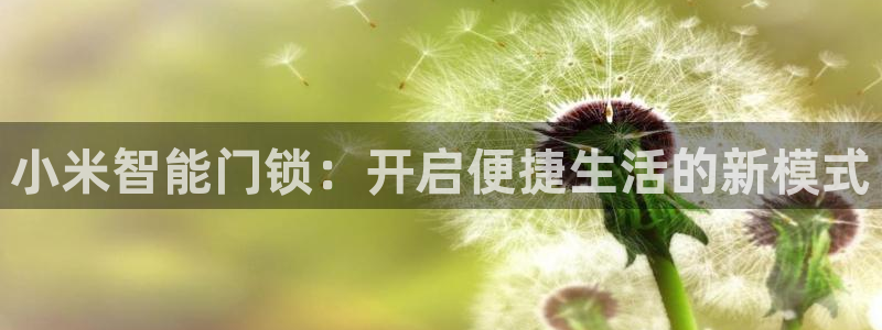 富联娱乐主管那判官333OO：小米智能门锁：开启便捷生活的新