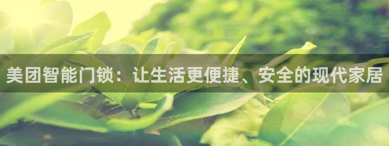 富联娱乐主管是谁呀：美团智能门锁：让生活更便捷、安全的现代家