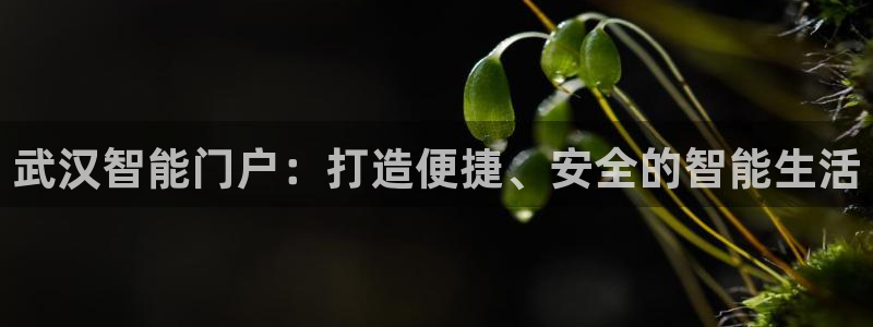 富联娱乐发展历程简述：武汉智能门户：打造便捷、安全的智能生活