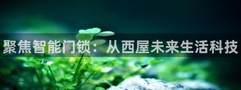 富联娱乐平台下载app：聚焦智能门锁：从西屋未来生活科技