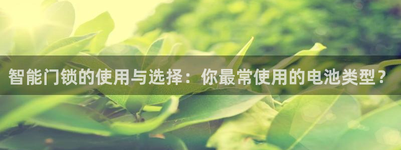 富联娱乐平台能挣到钱吗：智能门锁的使用与选择：你最常使用的电