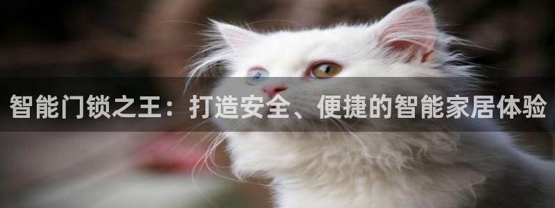 富联娱乐上级：智能门锁之王：打造安全、便捷的智能家居体验