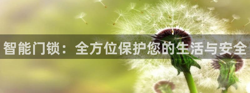 富联娱乐服务站怎么样：智能门锁：全方位保护您的生活与安全