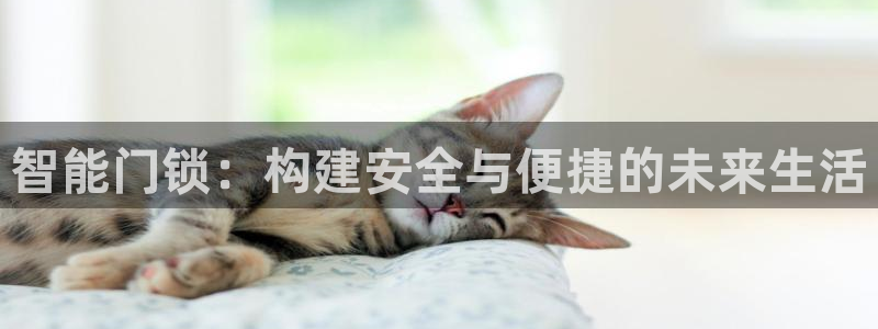 富联娱乐资讯官网：智能门锁：构建安全与便捷的未来生活
