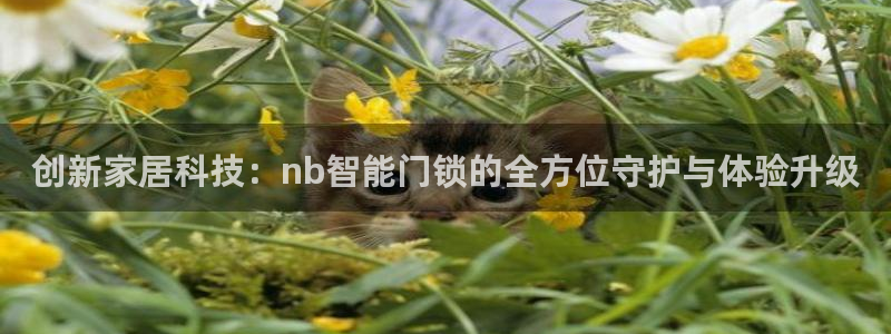 富联娱乐怎么样可靠吗：创新家居科技：nb智能门锁的全方位守护