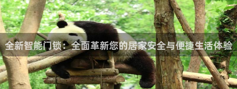 富联娱乐注册数判官333OO：全新智能门锁：全面革新您的居家
