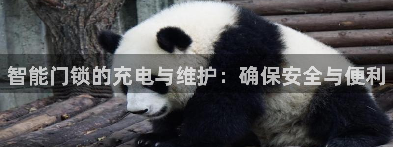 富联娱乐官网首页登录：智能门锁的充电与维护：确保安全与便利