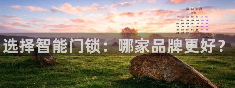 富联娱乐主营业务有哪些：选择智能门锁：哪家品牌更好？