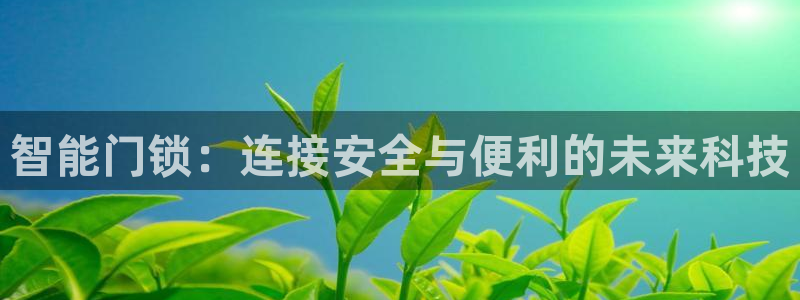 富联娱乐开户费用：智能门锁：连接安全与便利的未来科技
