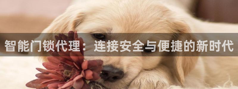富联娱乐招商认判官333OO：智能门锁代理：连接安全与便捷的