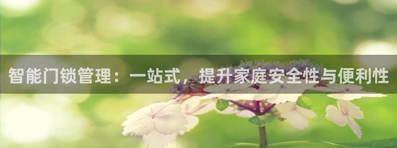 富联娱乐招商天原判官333OO：智能门锁管理：一站式，提升家