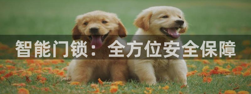 富联2娱乐平台注册：智能门锁：全方位安全保障